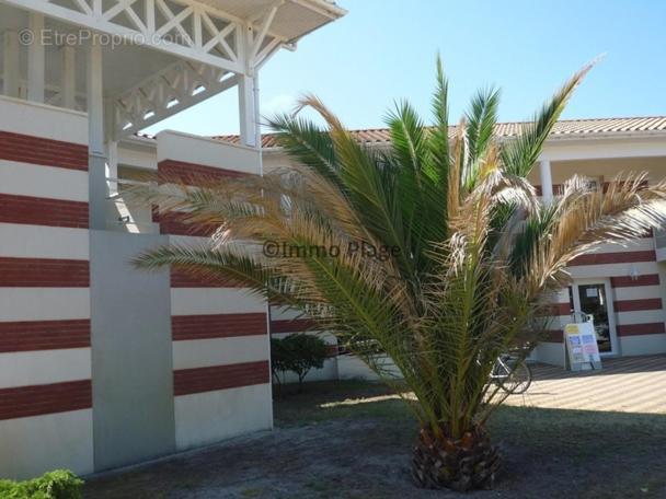 Soulac-Sur-Mer Avec Piscine Екстер'єр фото